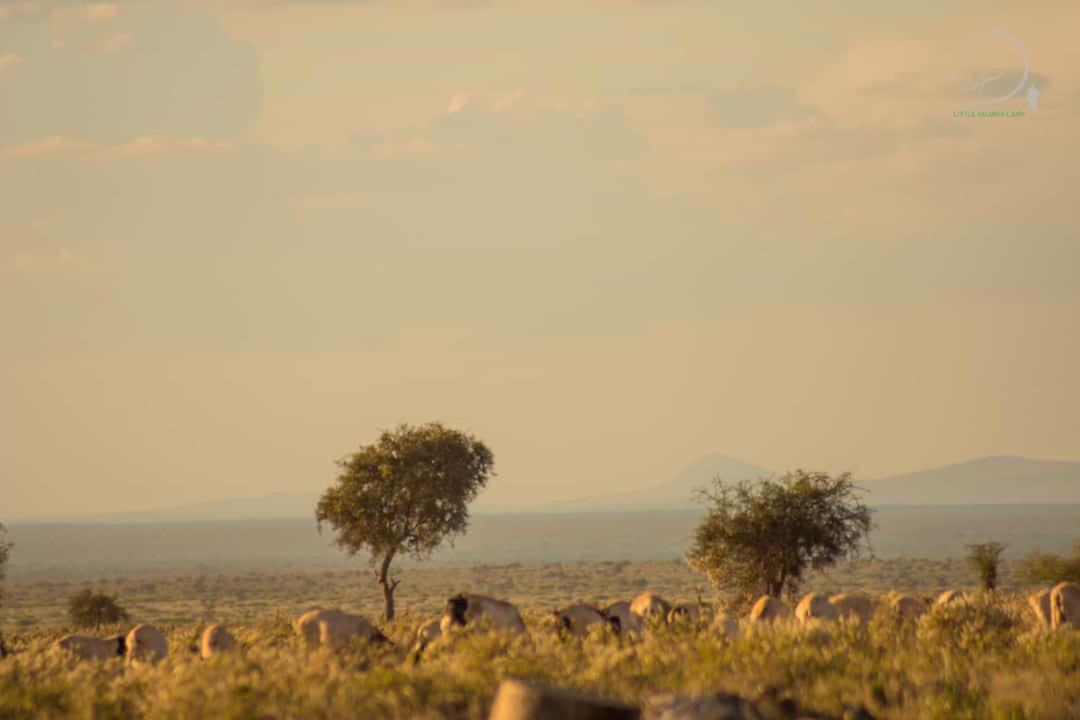 Amanya 3-Bedroom Hut Amboseli Kültér fotó